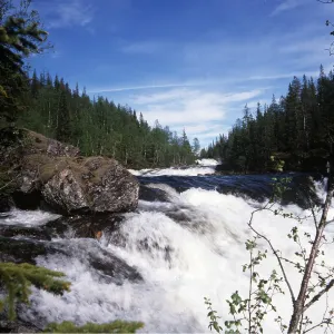 NORWAY - Namsen River NORWAY - Namsen River