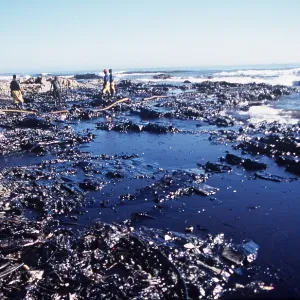 OIL POLLUTION - From MV Treasure, Cape Town. June 2000 OIL POLLUTION - From MV Treasure, Cape Town. June 2000