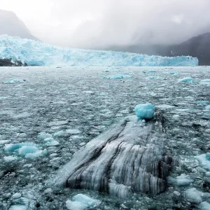 Pack Ice of Amalia / Skua Glacier with mountains