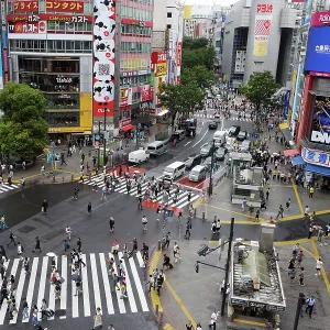 Pedestriations on the Shibuya Scramble Crossing, Shibuya, Tokyo