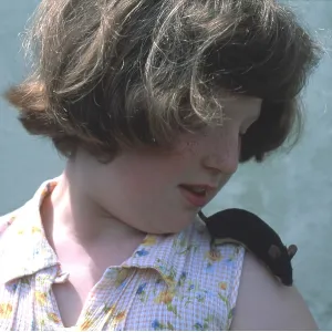 Pet Black MOUSE - on child's shoulder Pet Black MOUSE - on child's shoulder