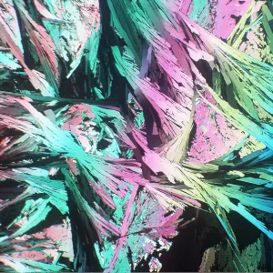 POLARISED LIGHT - Paranitrobenzyl chloride, x5 magnification