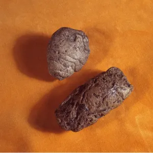 PREHISTORIC - Coprolites - Fossilised dinosaur faeces PREHISTORIC - Coprolites - Fossilised dinosaur faeces