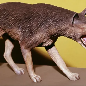 Prehistoric Model - Dire Wolf Prehistoric Model - Dire Wolf
