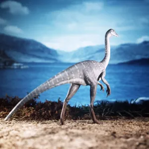Prehistoric reconstruction - Ornithomimus model Prehistoric reconstruction - Ornithomimus model