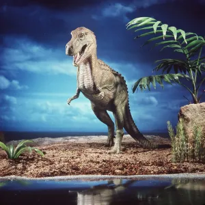 Prehistoric reconstruction - Tyrannosaurus Rex Dinosaur Prehistoric reconstruction - Tyrannosaurus Rex Dinosaur