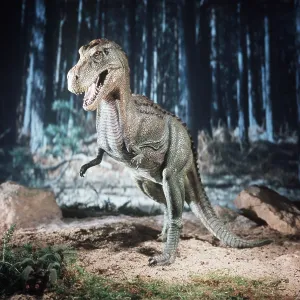 Prehistoric reconstruction - Tyrannosaurus Rex in forest Prehistoric reconstruction - Tyrannosaurus Rex in forest