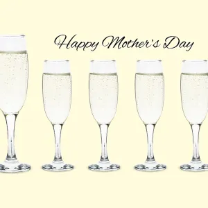 Prosecco / Champagne glasses