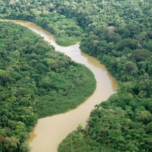 Rainforest - Aerial view of White water river in Amazon Rainforest - Aerial view of White water river in Amazon