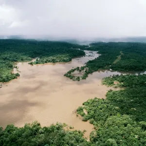 Rainforest - Aerial White Water River, Amazonia Rainforest - Aerial White Water River, Amazonia