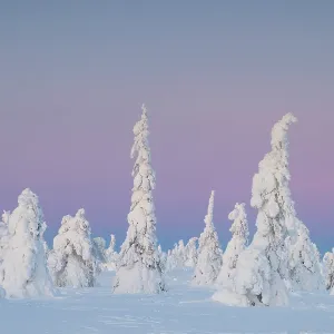 : COOL DOWN