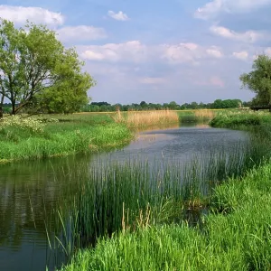 River - Houghton & Hemingford meadow walks on ouse valley River - Houghton & Hemingford meadow walks on ouse valley