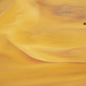 Sand Dune Sand Dune