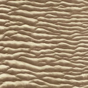 Sand patterns in the Namib Desert