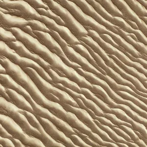 Sand patterns in the Namib Desert