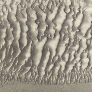 Sand patterns in the Namib Desert