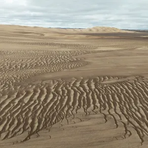 Sand patterns in the Namib Desert