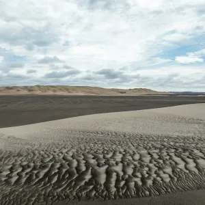 Sand patterns in the Namib Desert