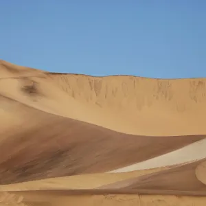 Sandboarding in the Namib Desert Sandboarding in the Namib Desert