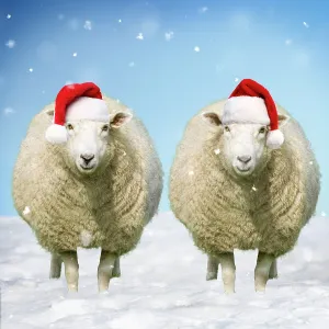 Collections: Manipulated Images - Perfect For Greetings Cards