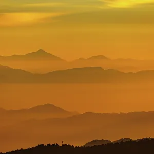 Collections: Photographers