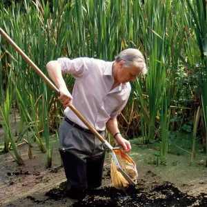 Sir David Attenborough pond dipping Sir David Attenborough pond dipping