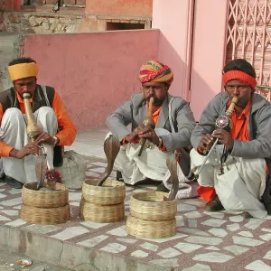 Snake Charmers Snake Charmers