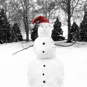 snowman