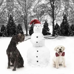 Snowman wearing Christmas hat with Labrador puppy