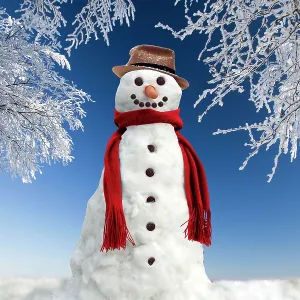 Snowman - in winter snow Snowman - in winter snow