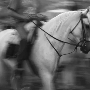 Spanish horse and rider