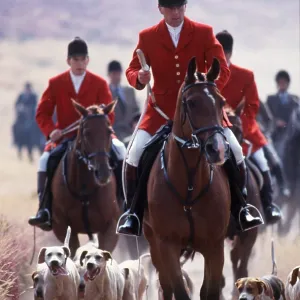 STAG HUNTING - Quantock staghounds STAG HUNTING - Quantock staghounds