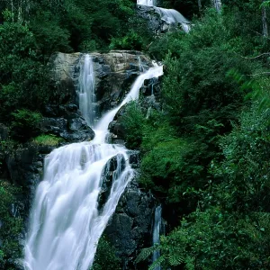 Steavensons Falls - Waterfall Steavensons Falls - Waterfall
