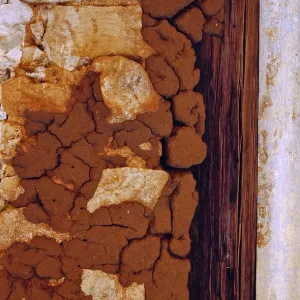Termite Damage to Timber Termite Damage to Timber