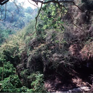 THAILAND - Khoa Yai National Park - view from Heo THAILAND - Khoa Yai National Park - view from Heo