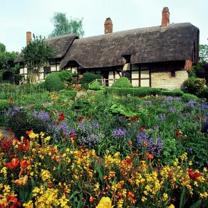 Thatched Cottage Thatched Cottage