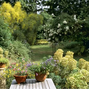 TOWN GARDEN - summer TOWN GARDEN - summer