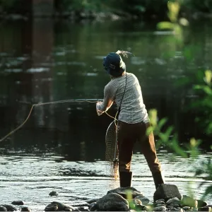 TROUT FISHING - River Tay TROUT FISHING - River Tay