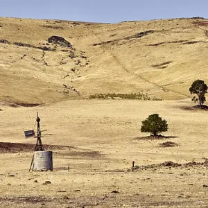 Typical central Victoria landscape in mid summer Typical central Victoria landscape in mid summer