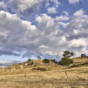 Typical summer landscape in central Victoria near Typical summer landscape in central Victoria near