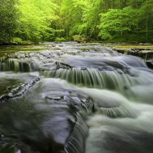 USA, West Virginia, New River Gorge National Park. Landscape USA, West Virginia, New River Gorge National Park. Landscape