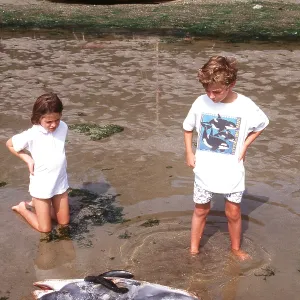 White-beaked DOLPHIN - children standing by dead White-beaked DOLPHIN - children standing by dead
