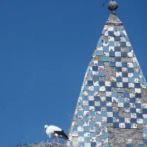 WHITE STORK - on nest beside blue and white check spire WHITE STORK - on nest beside blue and white check spire