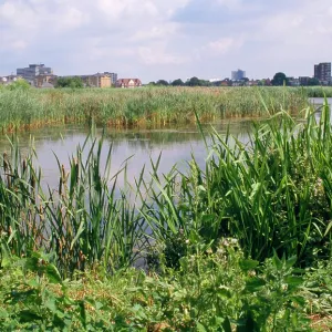 Wildlife & Wetlands Trust (WWT) - London Wetland Wildlife & Wetlands Trust (WWT) - London Wetland