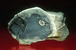 Chalcedony: Flint
