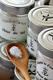 Operation: In 1855 starts the operation of sea salt in the