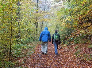 Hikers: 2 hikers in the rain, through the autumn forest