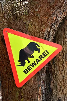 Reintroduction: 200km north of Kampala, the Ziwa Rhino Sanctuary