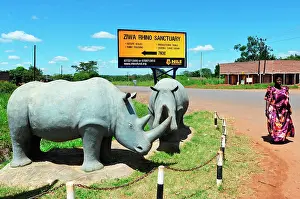Panel: 200km north of Kampala, the Ziwa Rhino Sanctuary