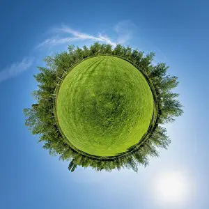Ball: 360 panorama, globe with meadow and deciduous trees